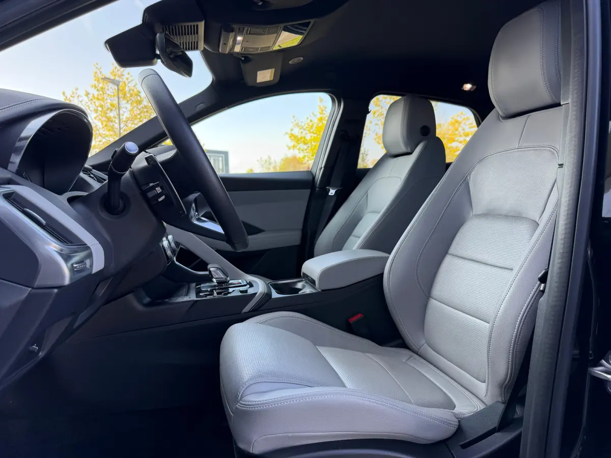 P300e AWD R-Dynamic SE | Stoelverwarming voor | 19 Inch | Adaptieve Cruise Control | Meridian
