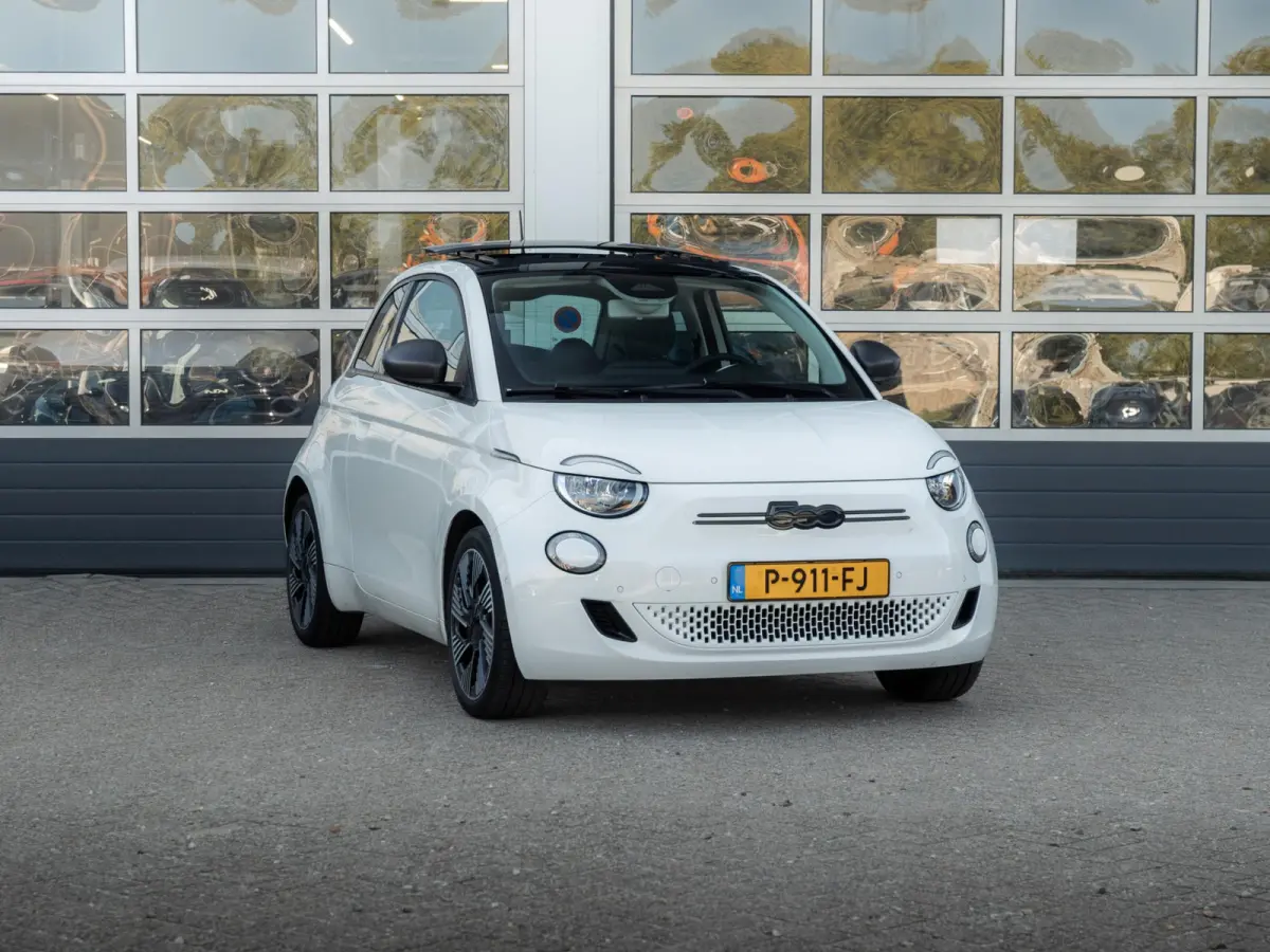 Icon 42 kWh l SOH 92,8% | Clima | Cruise | Camera | 17" | Priv. Glass | Schuif/Kanteldak | Winter Pack | BSM | Apple Carplay