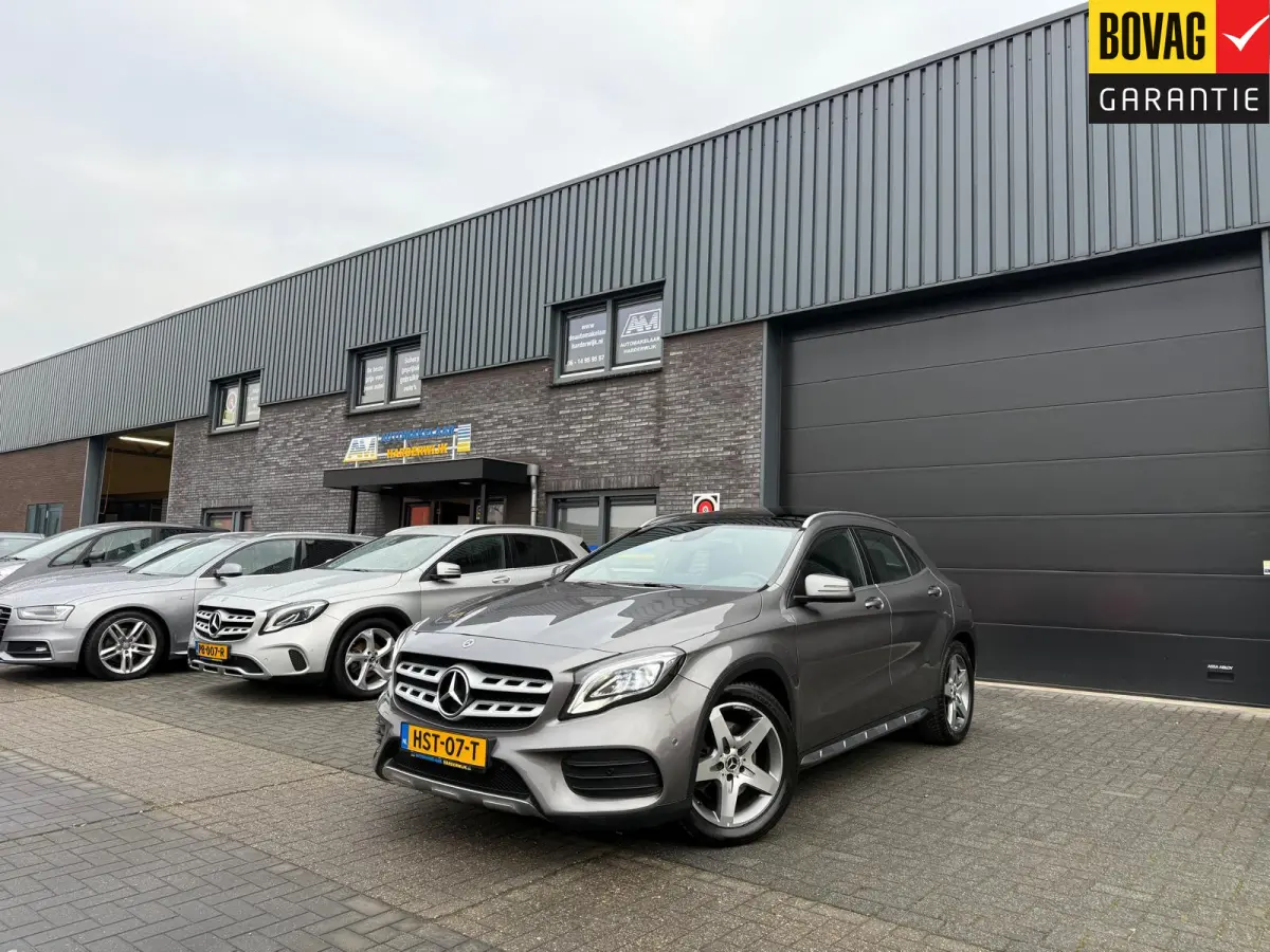 250 Premium Plus | 1E EIGENAAR | 3/6/12MND GARANTIE | LED | DAB | TREKHAAK | CRUISE | PANO |
