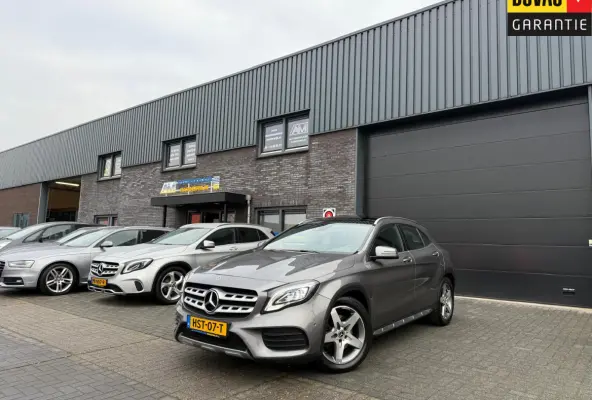 250 Premium Plus | 1E EIGENAAR | 3/6/12MND GARANTIE | LED | DAB | TREKHAAK | CRUISE | PANO |