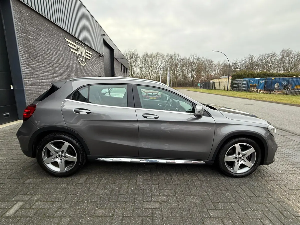 250 Premium Plus | 1E EIGENAAR | 3/6/12MND GARANTIE | LED | DAB | TREKHAAK | CRUISE | PANO |