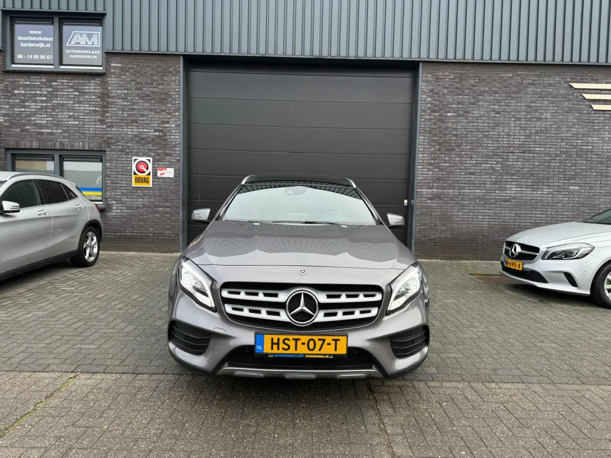 250 Premium Plus | 1E EIGENAAR | 3/6/12MND GARANTIE | LED | DAB | TREKHAAK | CRUISE | PANO |