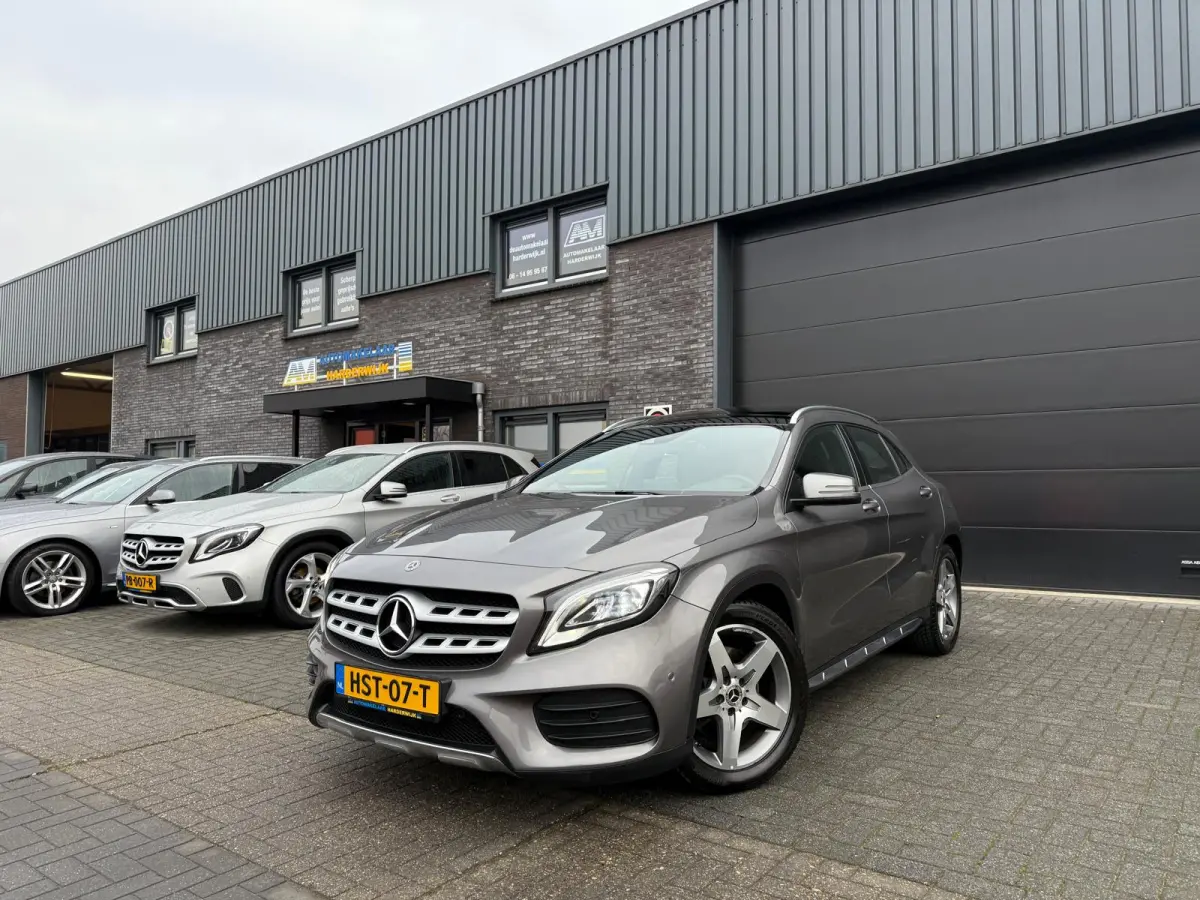 250 Premium Plus | 1E EIGENAAR | 3/6/12MND GARANTIE | LED | DAB | TREKHAAK | CRUISE | PANO |