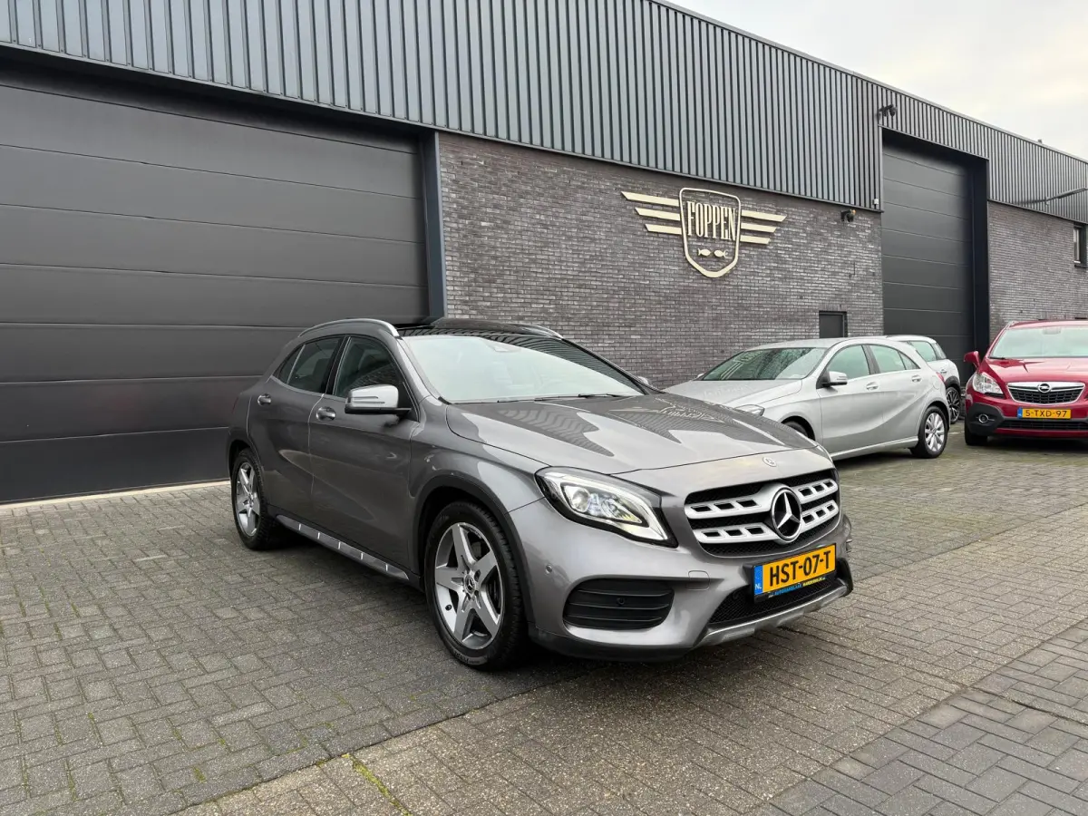 250 Premium Plus | 1E EIGENAAR | 3/6/12MND GARANTIE | LED | DAB | TREKHAAK | CRUISE | PANO |