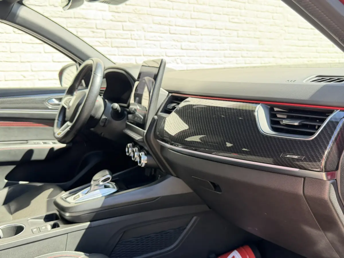 1.6 E-Tech Hybrid R.S. Line Camera + PDC Stoel-Stuur verwarming Carplay Navigatie Elektrische stoelen