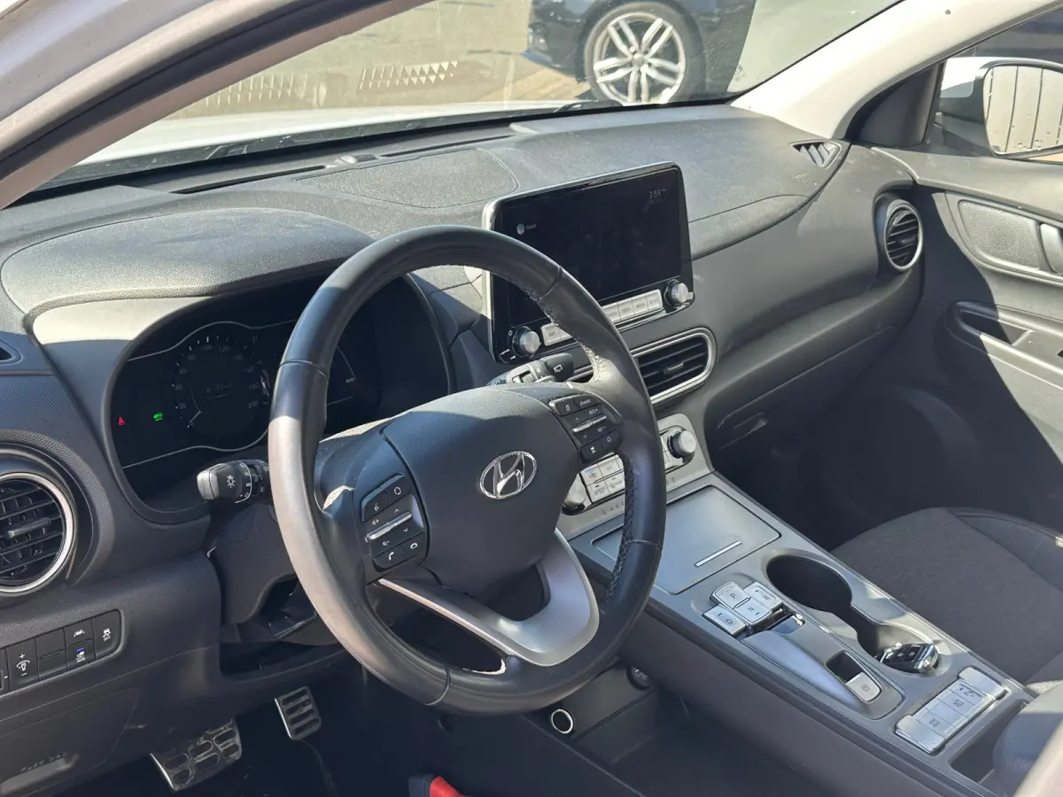 EV 64 kWh FASE 3 SOH 100 % DEALER OND KRELL KEYLEES GO