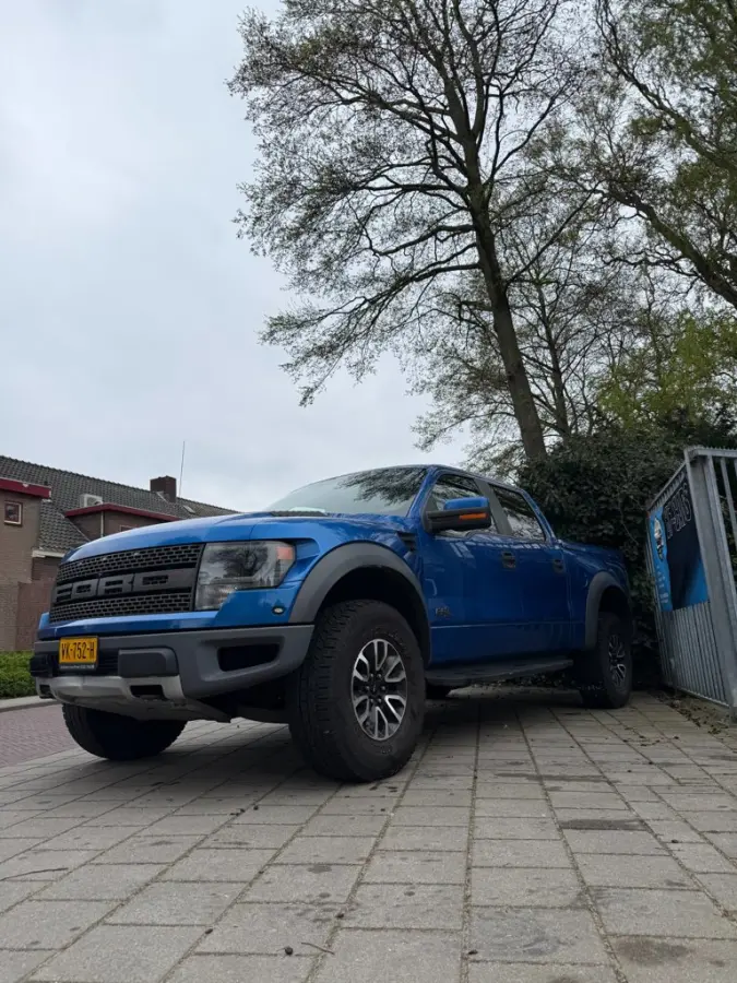 SVT RAPTOR