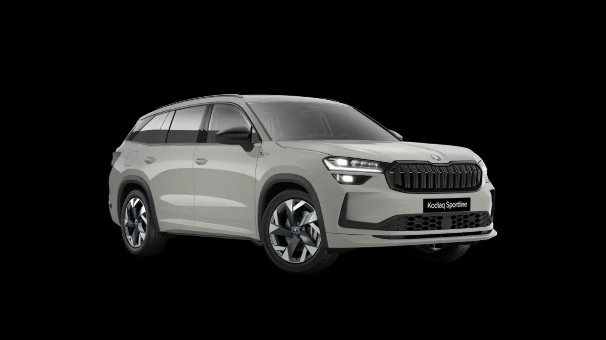 1.5 TSI 204pk PHEV Sportline Business | Winter Pakket | Trekhaak Wegklapbaar