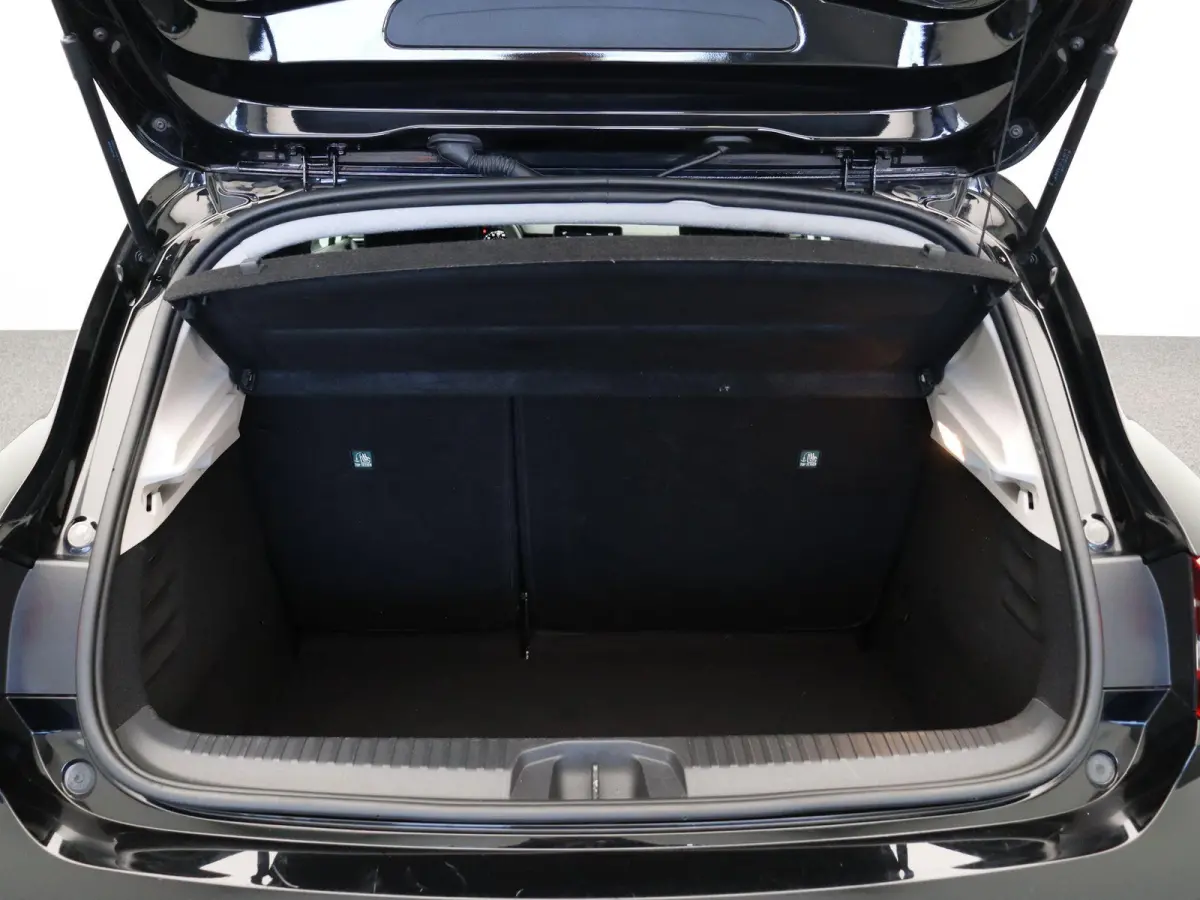 1.0 TCe Business Zen Bi-Fuel | LPG G3 | Voordelig rijden | Cruise Control | Metallic Lak | Apple Carplay & Android Auto | LED Koplampen | Parkeersensoren |