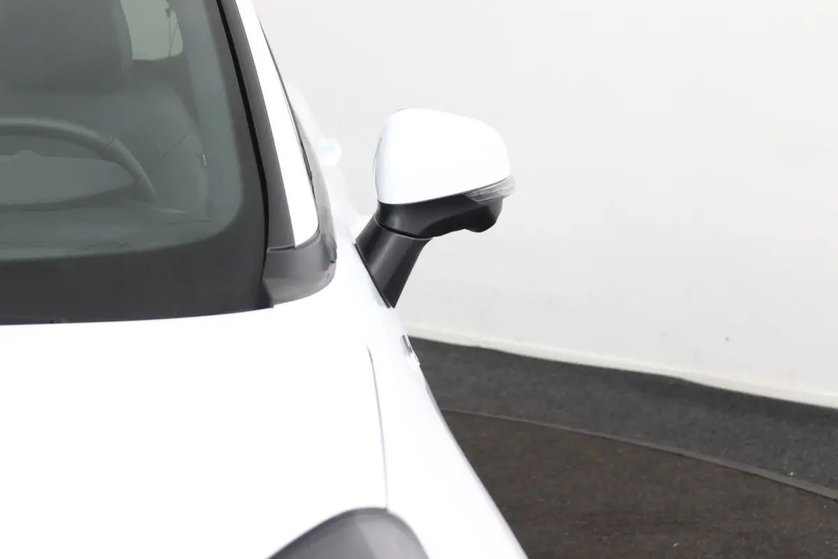 1.0 EcoBoost ST-Line X | Panoramadak | Winterpack | Adaptive Cruise | BLIS | CarPlay/Android Auto | 360 Camera