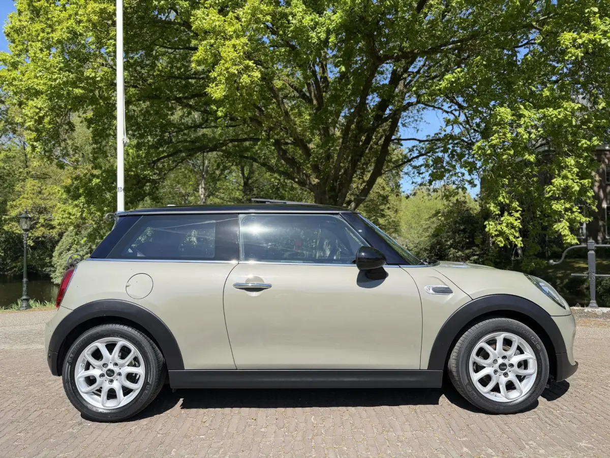 1.5 Cooper | Pano | Led | Automaat |