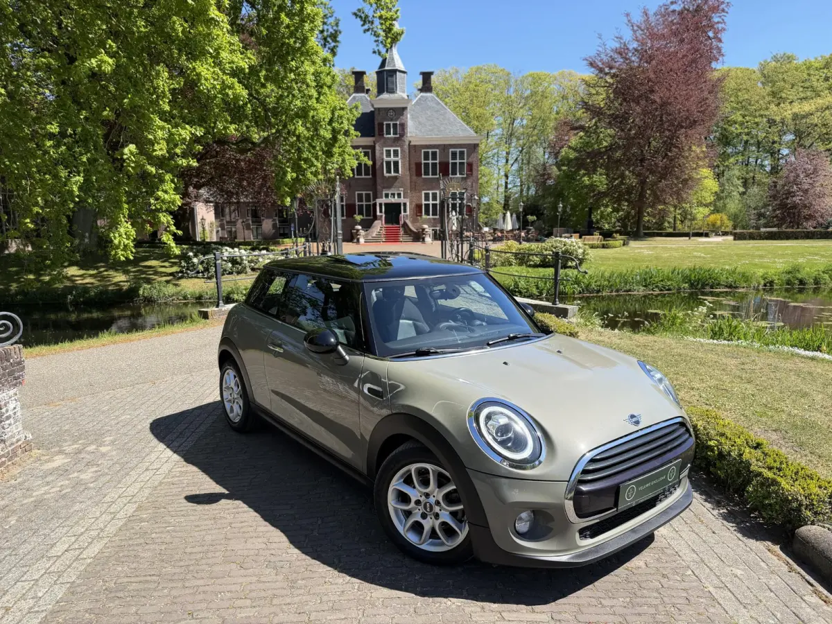 1.5 Cooper | Pano | Led | Automaat |