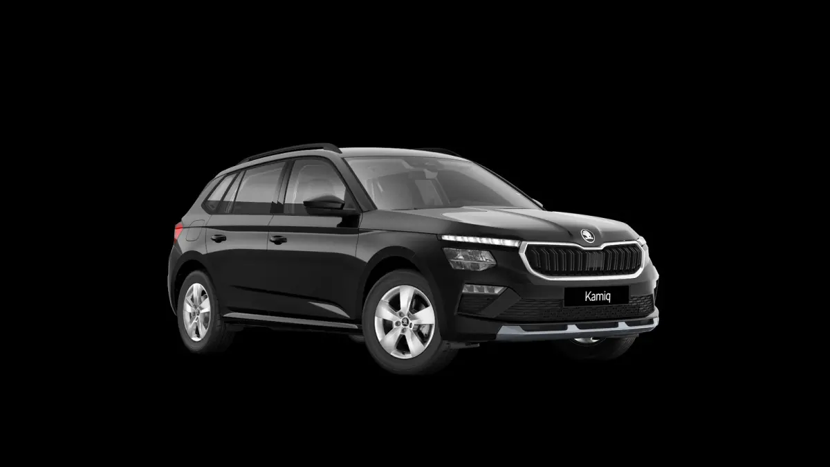 1.0 TSI 115pk DSG Selection | Winterpakket | Trekhaak Wegklapbaar