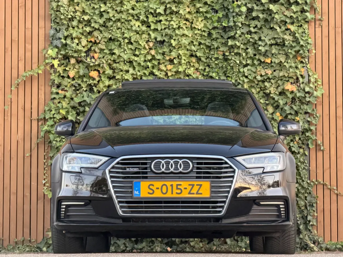 1.4 e-tron S-Line|PANO|TREKHAAK|NAVI