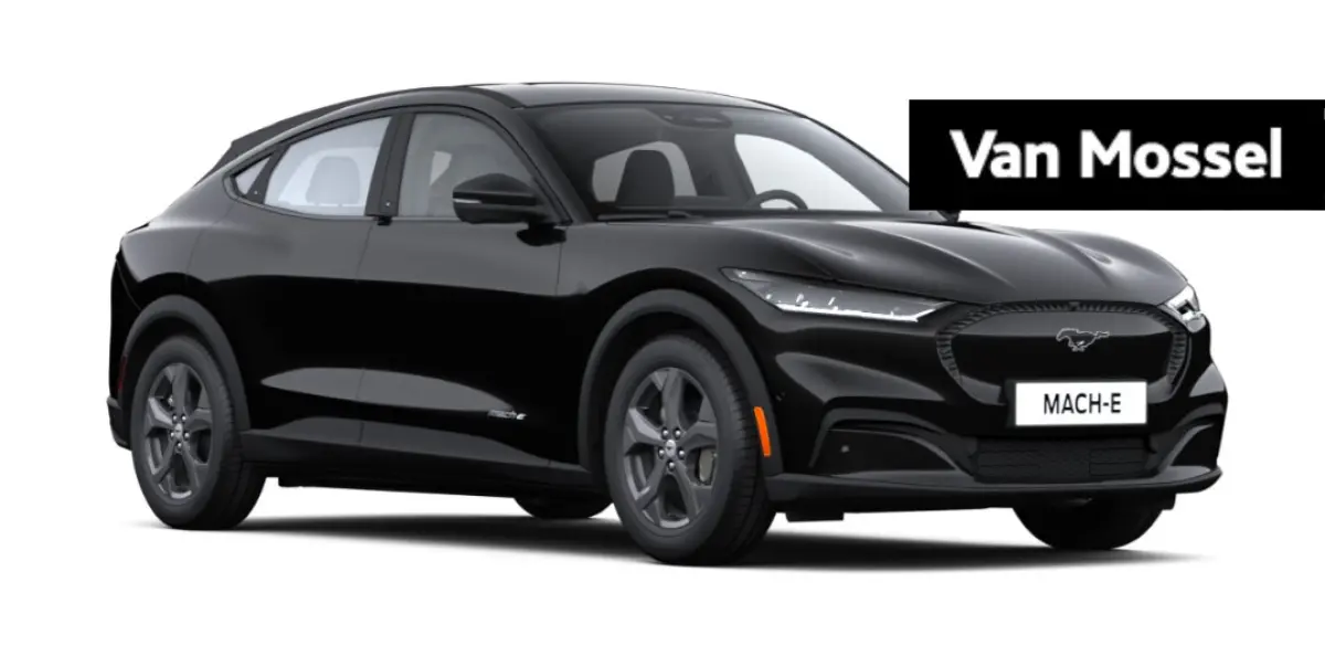 RWD 75 kWh | Te bestellen |