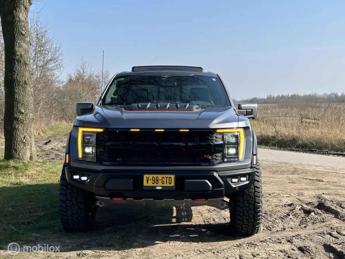 USA Raptor R