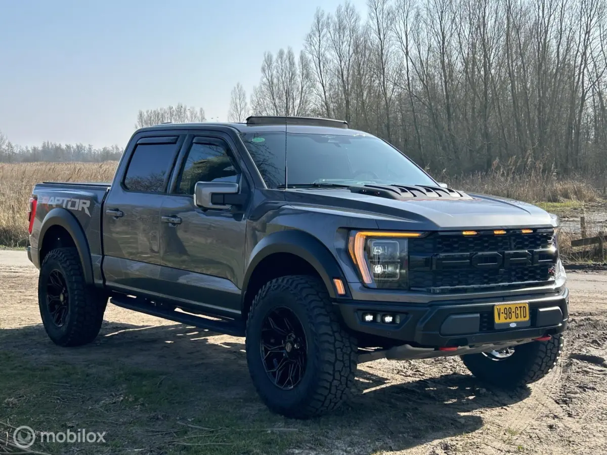 USA Raptor R