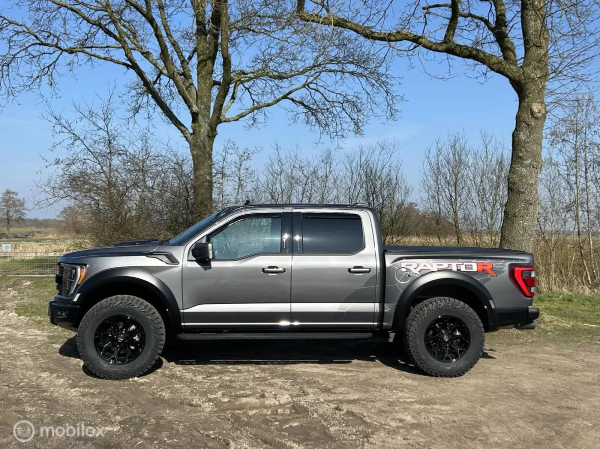 USA Raptor R