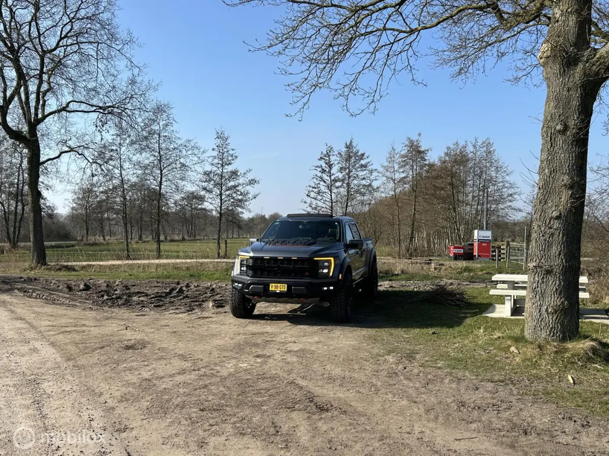 USA Raptor R
