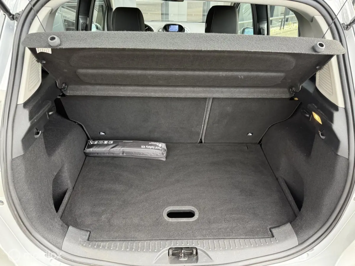 1.0 EcoBoost Titanium|NAVI|STOEL VERW|NWE APK