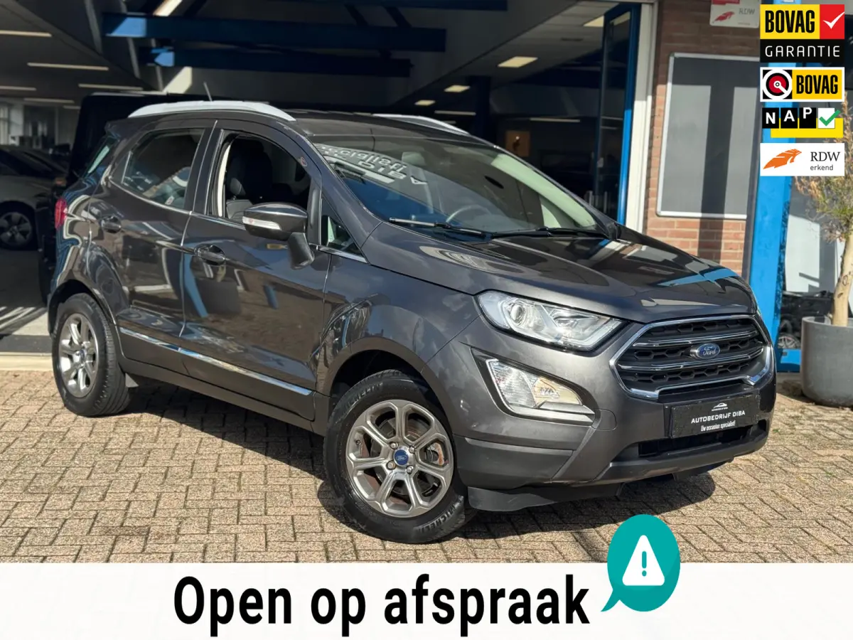 1.0 EcoBoost Titanium 2019 NAVI CLIMA NAP BTW!