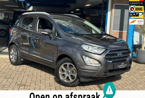 1.0 EcoBoost Titanium 2019 NAVI CLIMA NAP BTW!