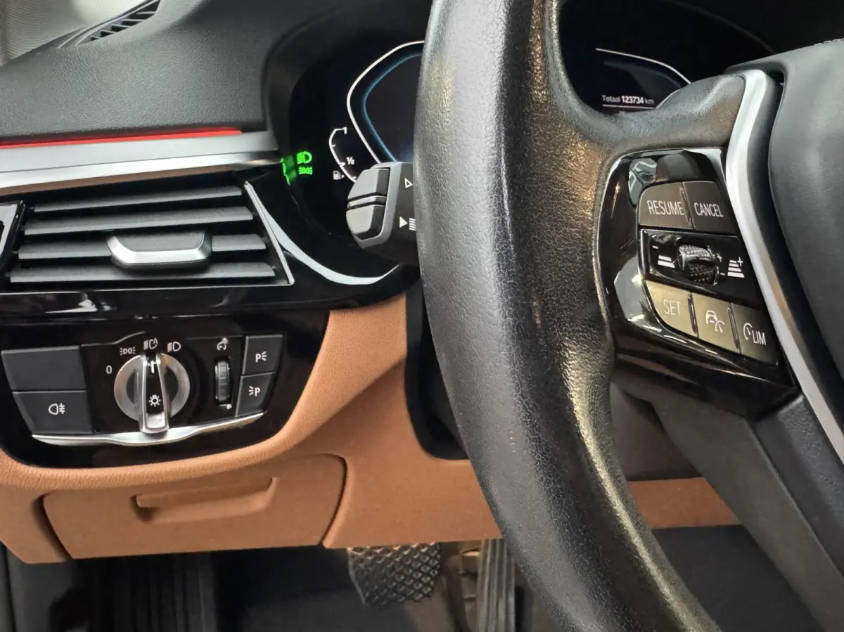 530e Business Edition Plus 2021 Berninagrau