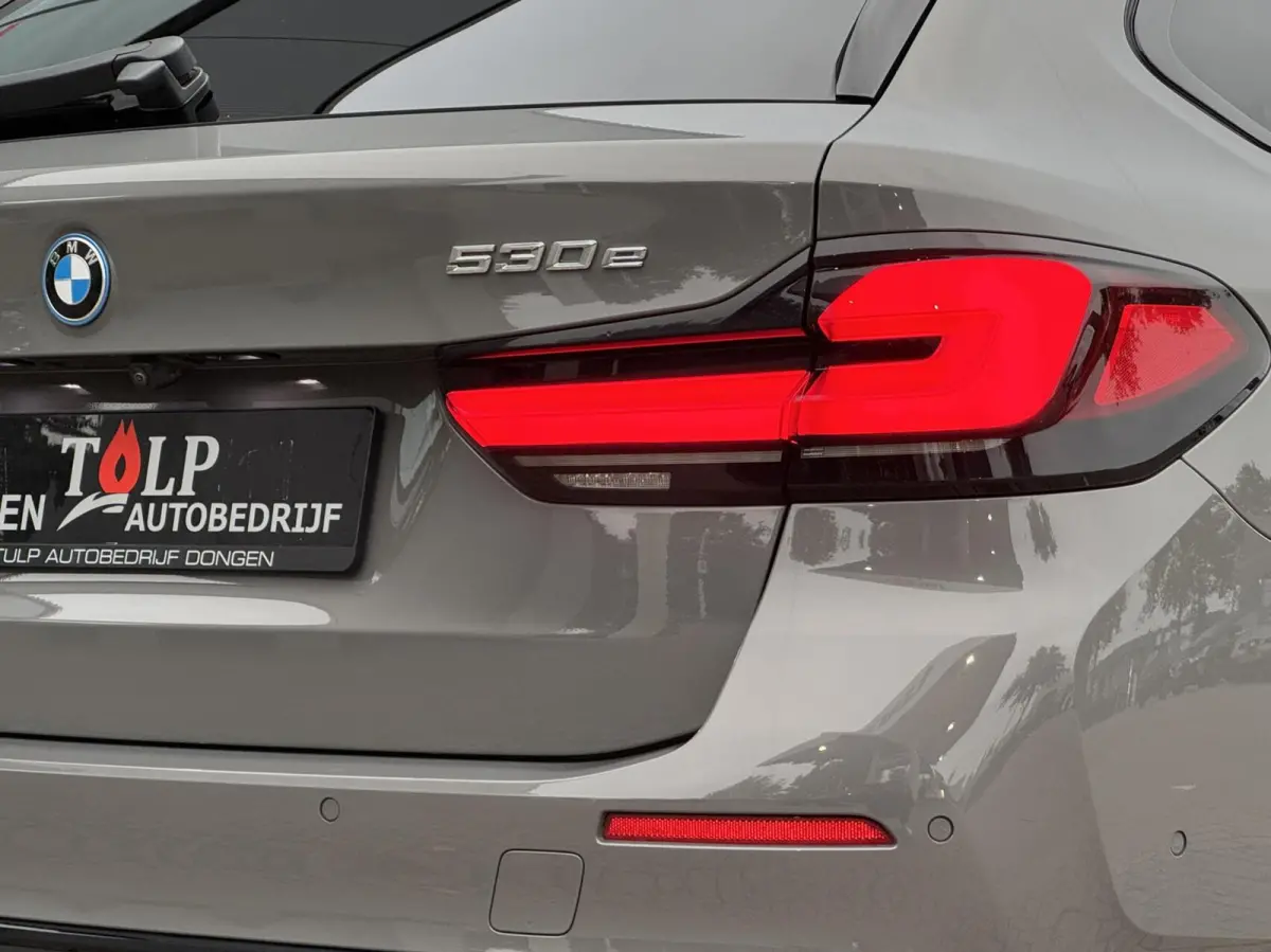 530e Business Edition Plus 2021 Berninagrau