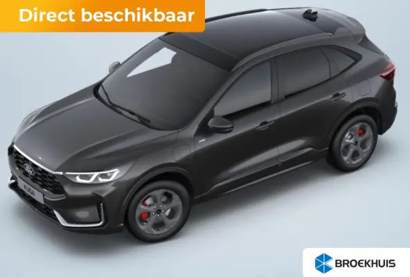2.5 PHEV ST-Line X | Airco (automatisch) | Bots herkenning en activatie | Bots waarschuwing systeem