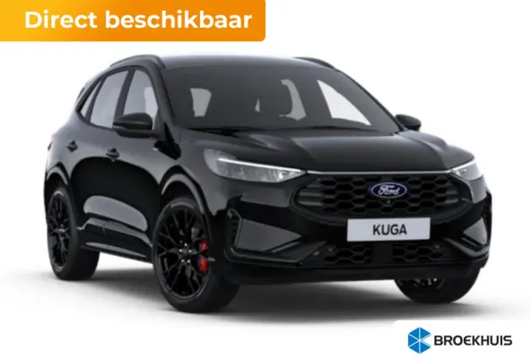 2.5 PHEV ST-Line X | Airco (automatisch) | Apple Carplay/Android Auto|telefoonintegratie premium | Audio installatie premium
