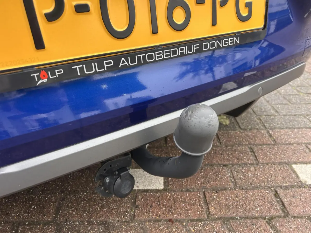 1.3 TCe R.S. Line Clima Cruise Navi Dealer
