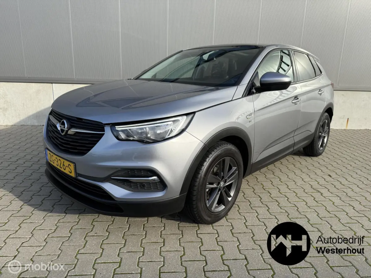 1.2 Turbo 120 Jaar Edition PANO AUTOMAAT APK