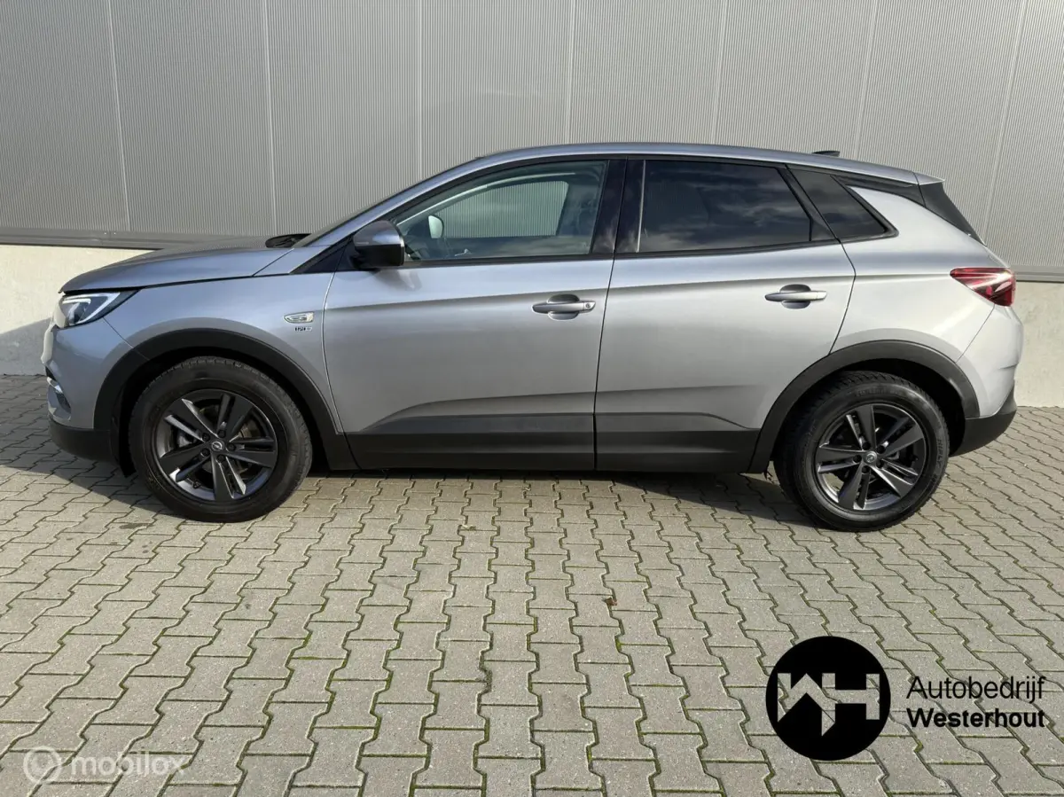 1.2 Turbo 120 Jaar Edition PANO AUTOMAAT APK