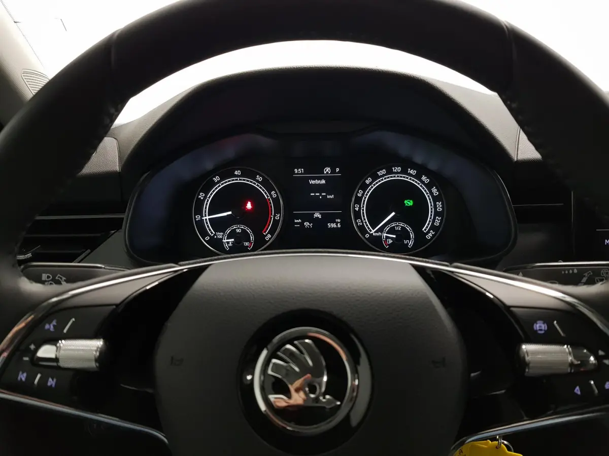 1.0 TSI 110pk DSG Dynamic Navigatie Lane Assist Adaptive Cruise Control Camera Stoelverwarming