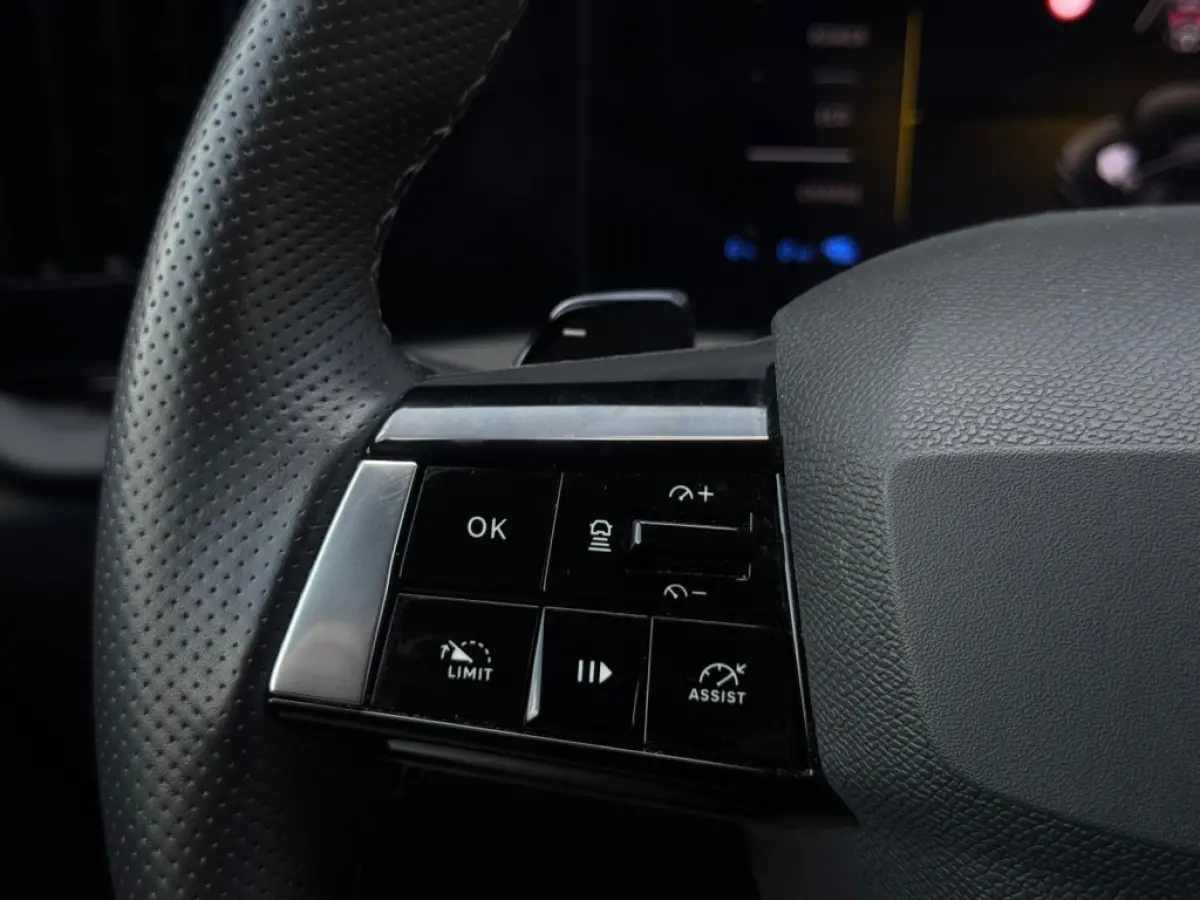 1.6 Turbo PHEV GSe FULL NAVI LEDER LED CLIMATE 360 CAMERA