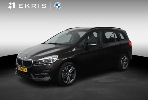 216i Executive | Cruise Control | Verwarmde voorstoelen | Park Distance Control voor/achter | Sportstoelen voor | Afneembare Trekhaak