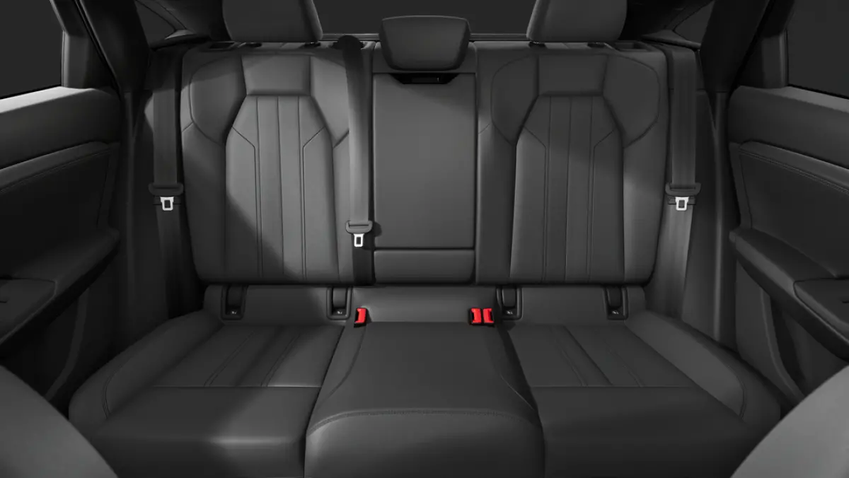 S edition | Adaptive air suspension | Adaptive cruise control | Audi sound system