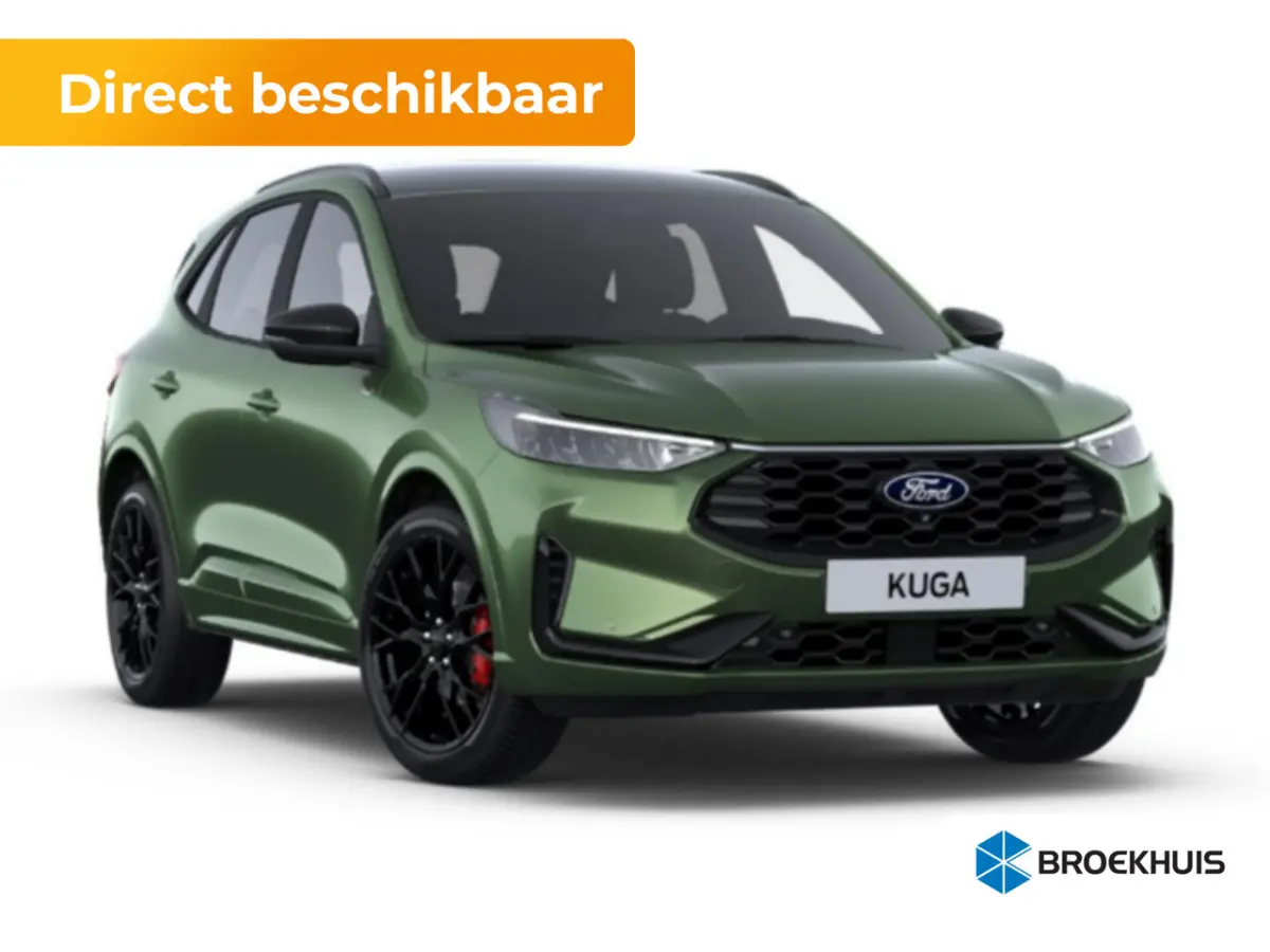 2.5 PHEV ST-Line X | Apple Carplay/Android Auto|telefoonintegratie premium | Audio installatie premium | Black Package