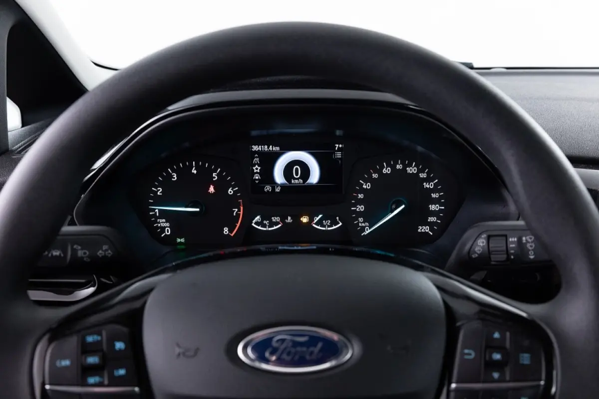 1.0 EcoBoost Connected ✅ 1e Eigenaar