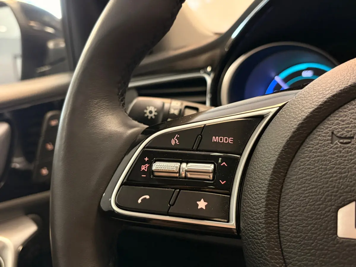 1.6 GDI PHEV DynamicPlusLine | LED | PANODAK | NAVI |