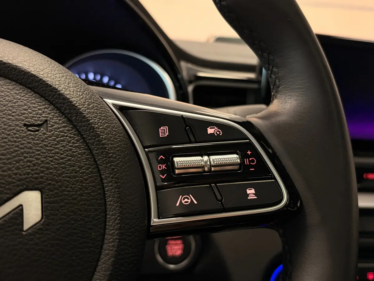 1.6 GDI PHEV DynamicPlusLine | LED | PANODAK | NAVI |