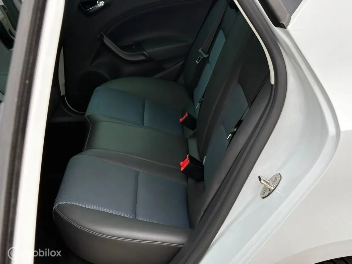 1.0 Eco TSI Style Connect 110PK Stoelverwarming