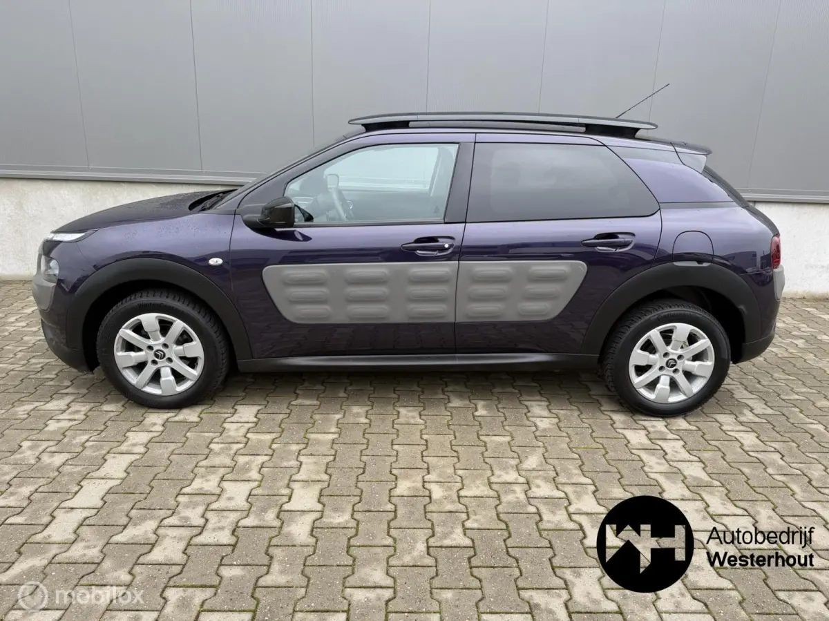 1.2 PureTech Shine NAP Dealeronderhouden!