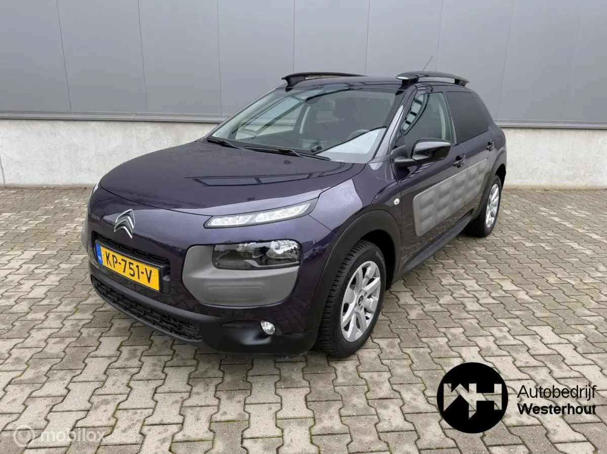 1.2 PureTech Shine NAP Dealeronderhouden!