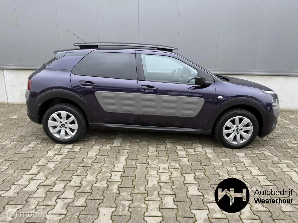 1.2 PureTech Shine NAP Dealeronderhouden!