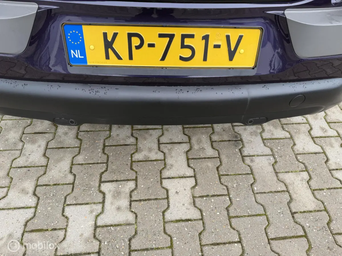 1.2 PureTech Shine NAP Dealeronderhouden!