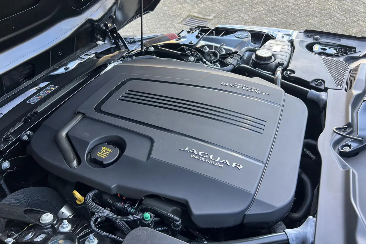 P300 RWD I R-Dynamic I Dealer ond. I