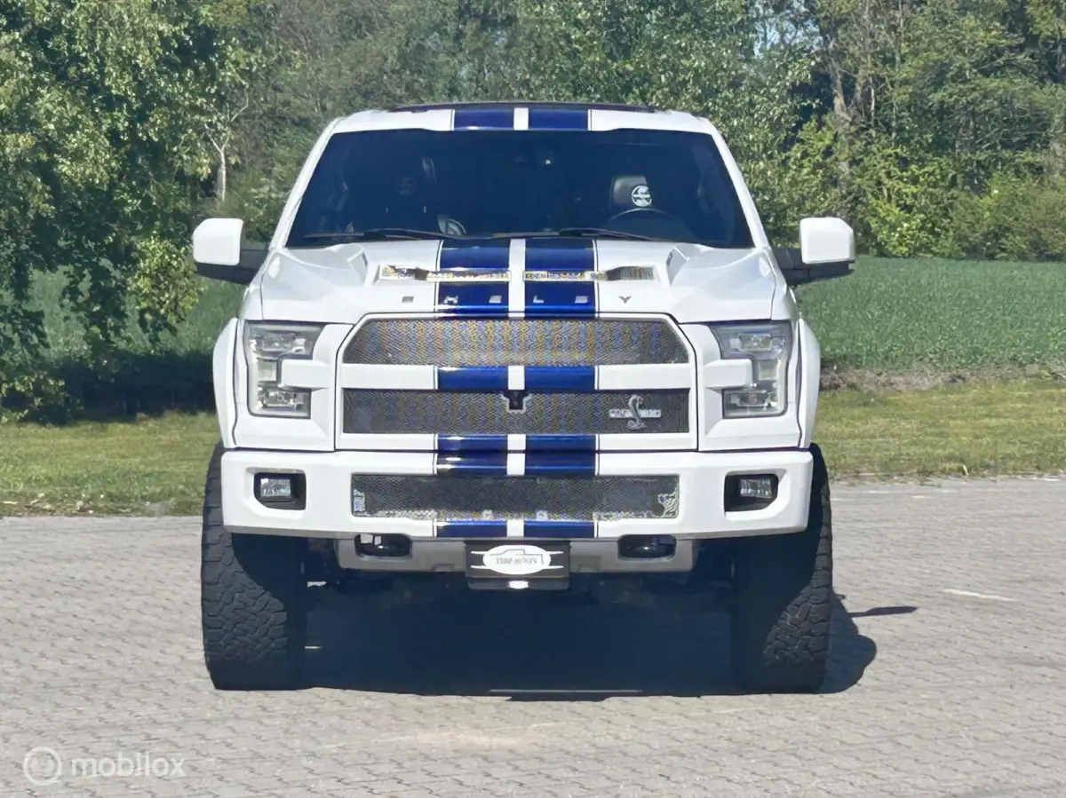 USA Shelby