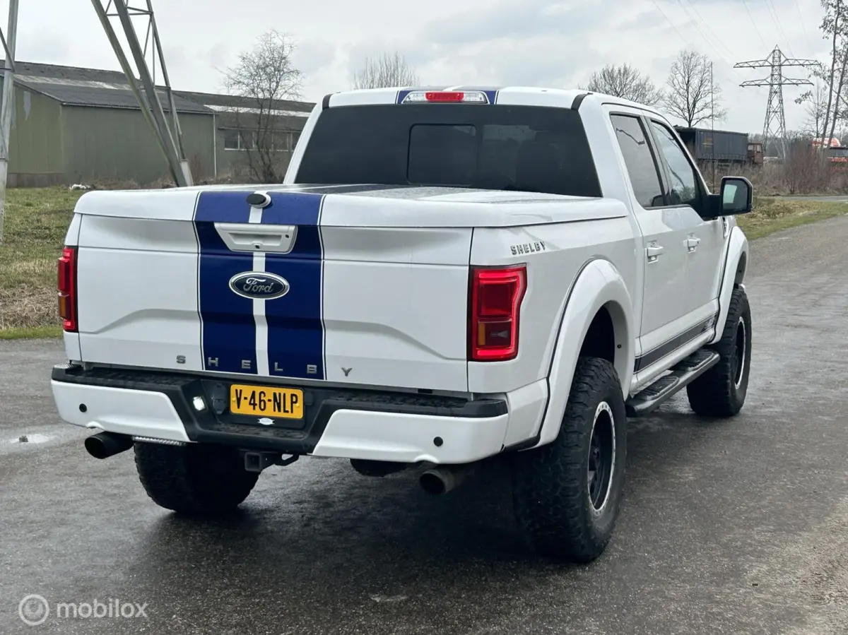 USA Shelby