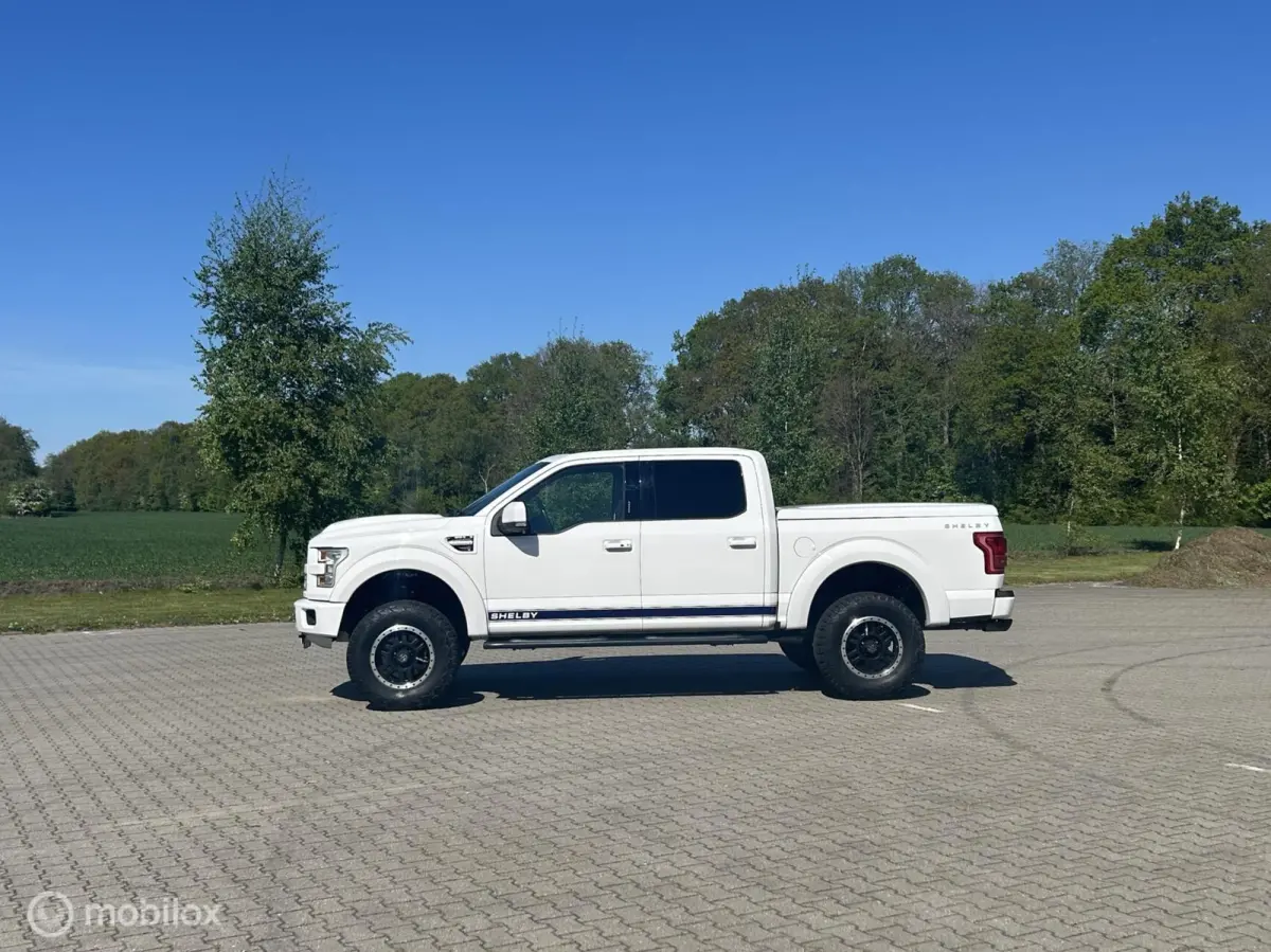 USA Shelby